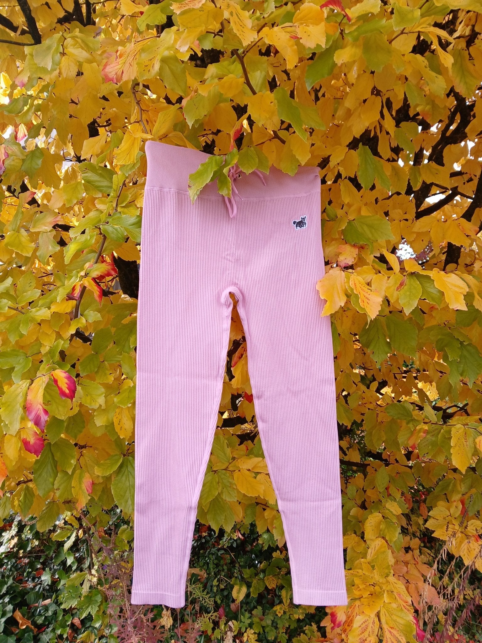 From Zurich to Zermatt: The Rise of YAKWARY Sports Leggings - YAKWARY®