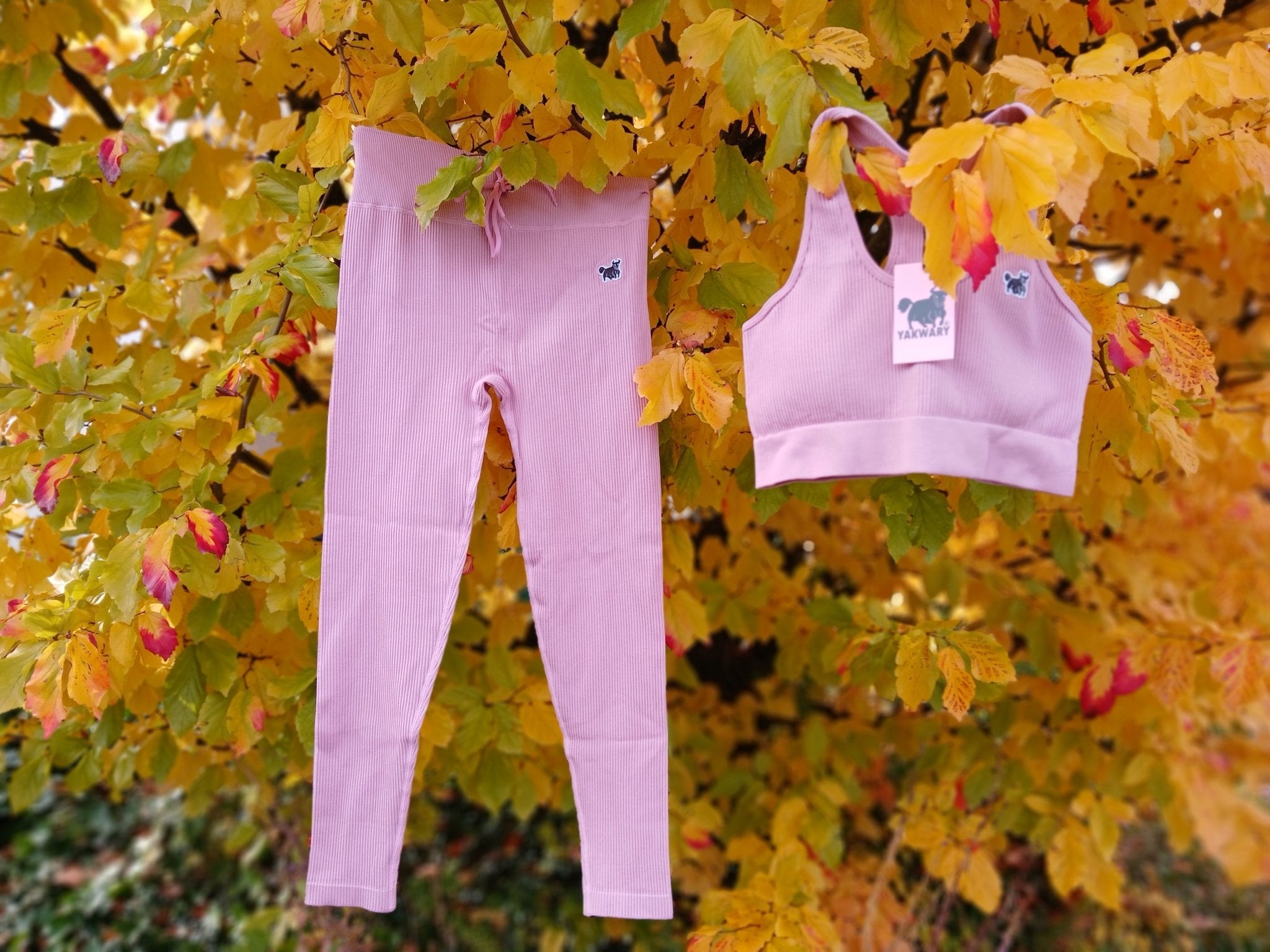 YAKWARY Moves Switzerland — Where Style Meets Strength - YAKWARY®