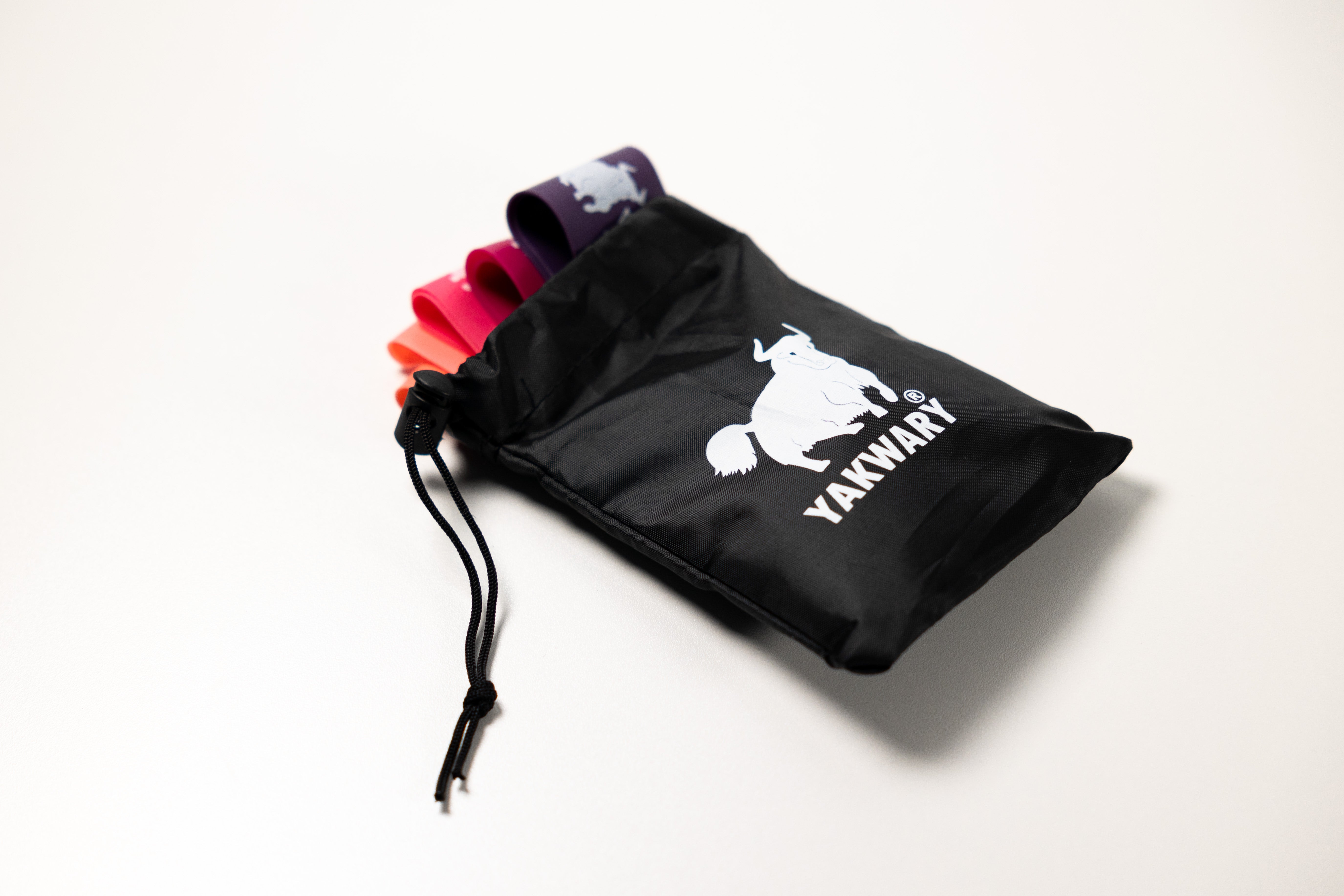 Compact and Travel-Friendly: Your Gym in a Bag