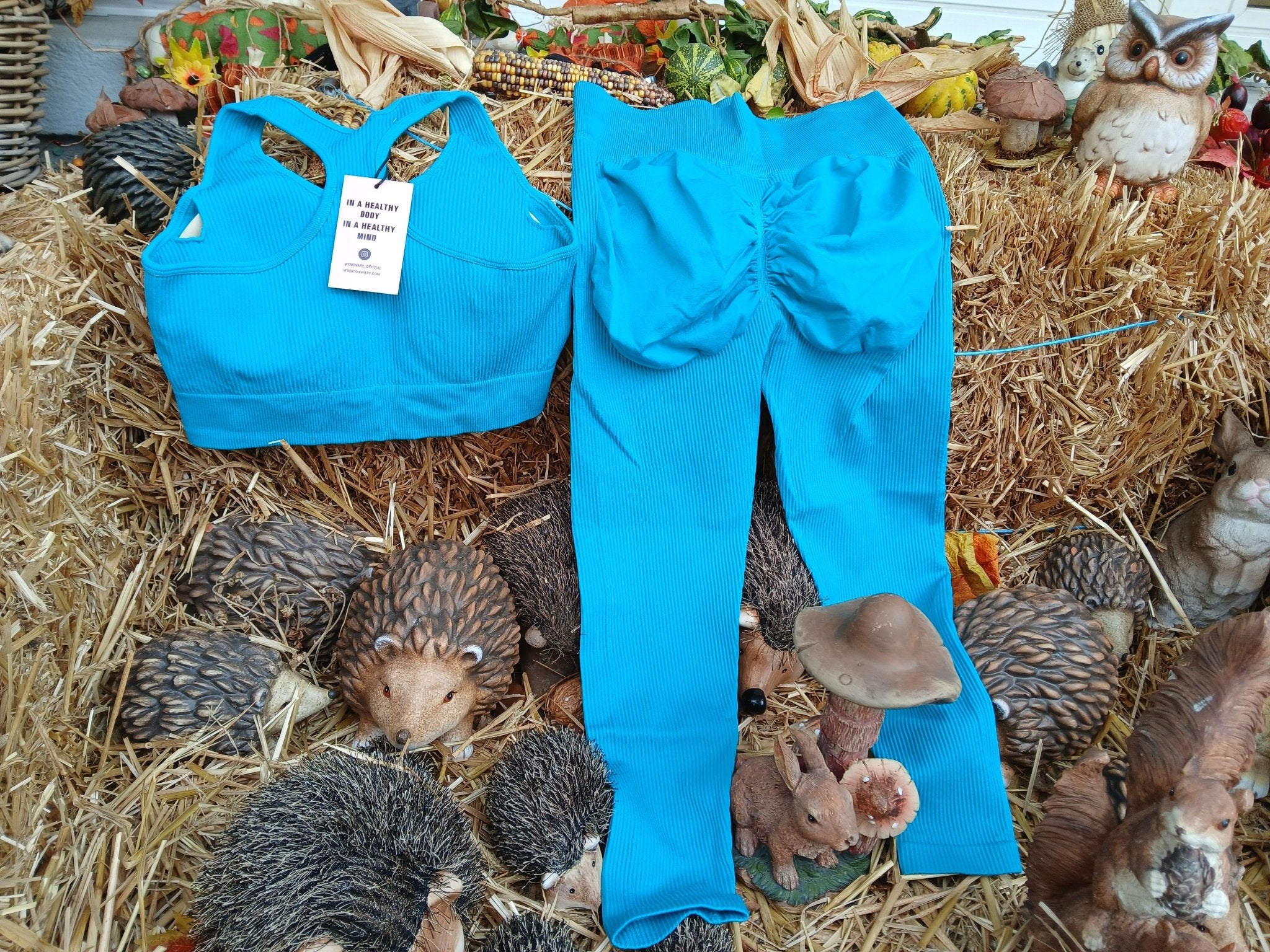 Confidence Starts Here: Switzerland’s Sports Leggings Revolution - YAKWARY®