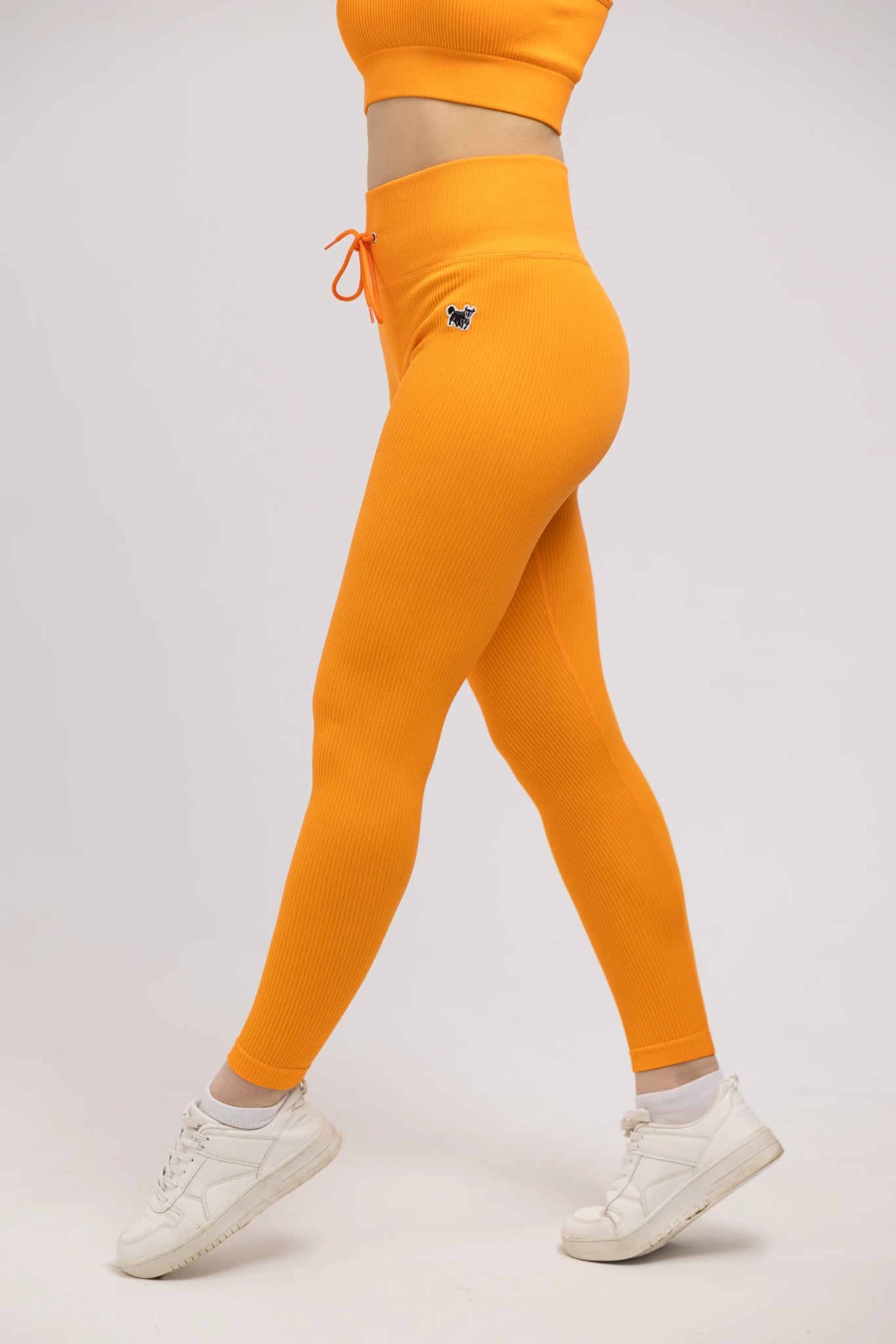 Seamless Ribbed WAVE CLASSIC Leggings - YAKWARY®