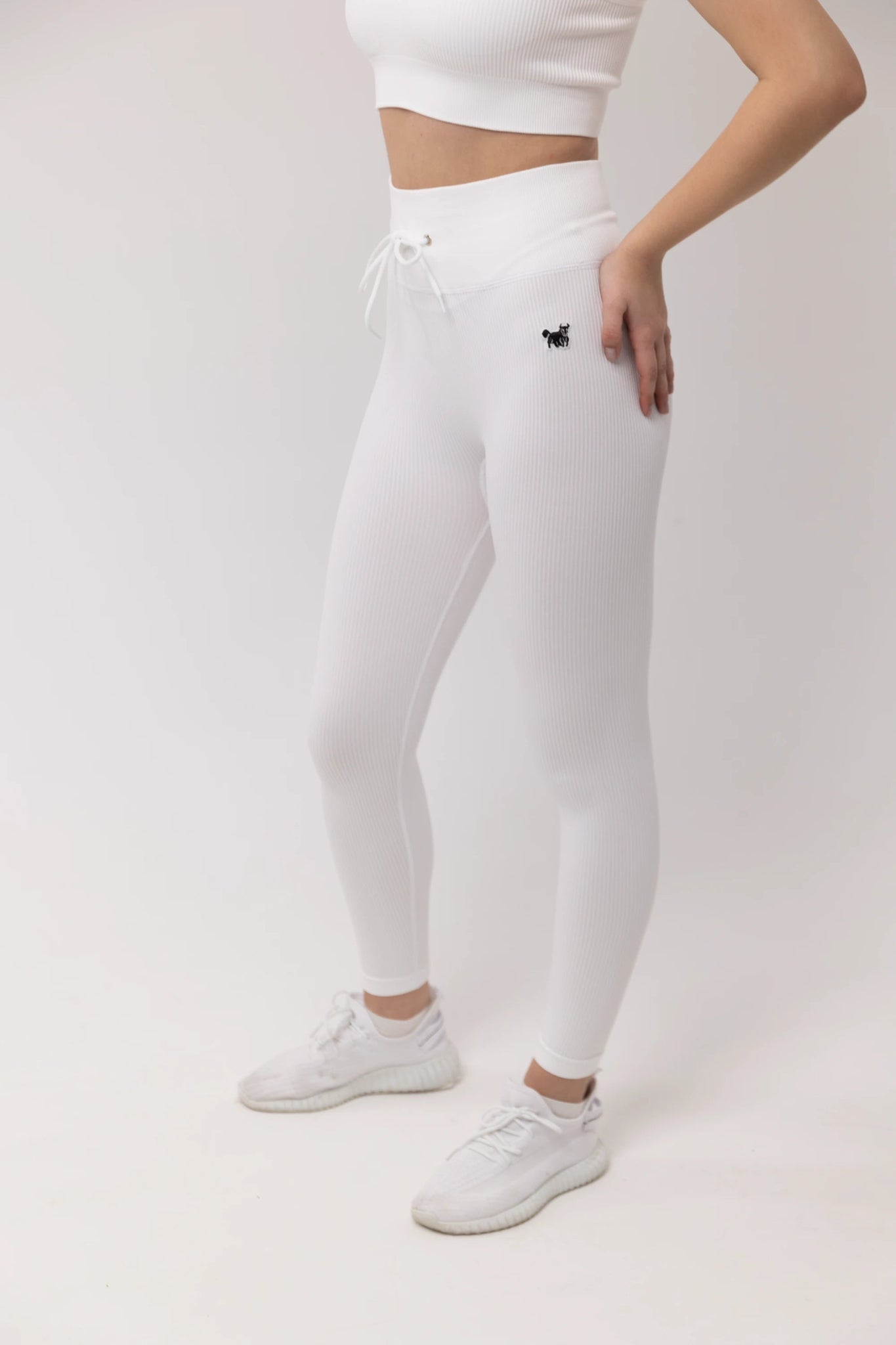 Seamless Ribbed WAVE CLASSIC Leggings - YAKWARY®