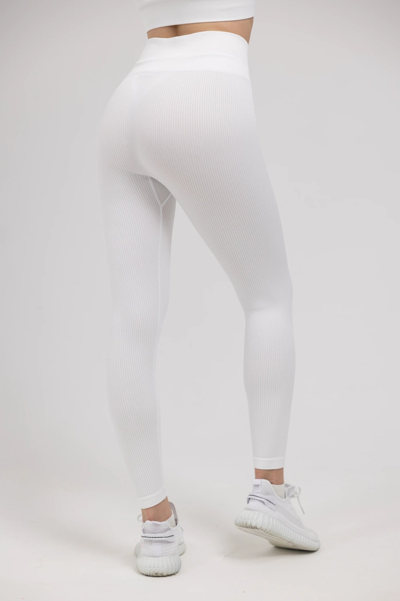 Seamless Ribbed WAVE CLASSIC Leggings - YAKWARY®