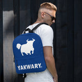 YAKWARY Men Blue Backpack